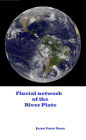 Fluvial Network of the River Plate