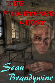 Title: The Frightened Ghost, Author: Sean Brandywine