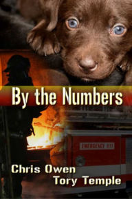 Title: By The Numbers, Author: Chris Owen