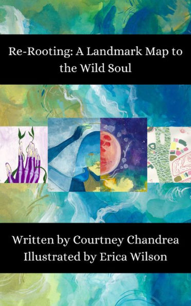Re-Rooting: a Landmark Map to the Wild Soul book cover