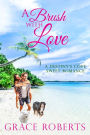 A Brush With Love (Destiny's Cove, #2)