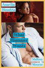 Amelia Sinatra: What Hammer Wants (Amelia Sinatra/Hammer Reese Romantic Suspense Series, #1)