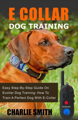 Perfect dog training clearance collar