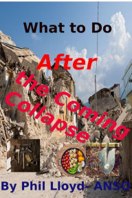 Title: What to Do After the Coming Collapse, Author: Phil Lloyd