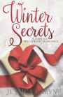 Winter Secrets (New York Romance, #3)
