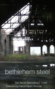 Title: Bethlehem Steel - Cold and Colder, Author: Temi (Brodkey) Rose