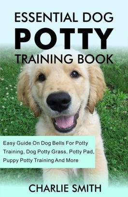 easy potty training dogs