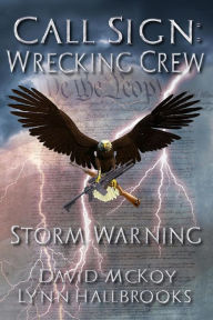 Title: Storm Warning (Call Sign: Wrecking Crew, #1), Author: David McKoy