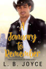 A January to Remember (Twelve Months, Twelve Love Stories, #6)