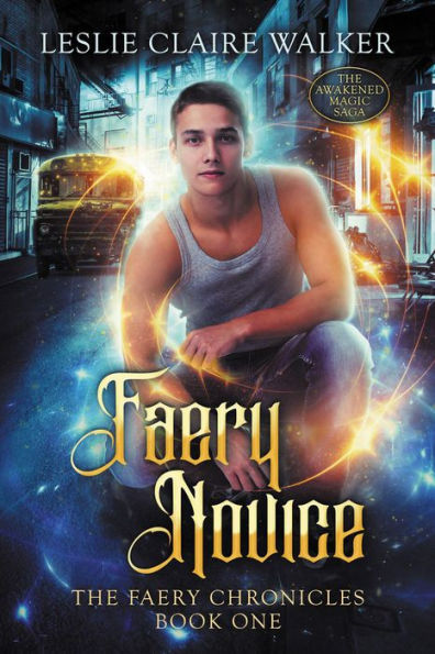 Faery Novice (The Faery Chronicles, #1)