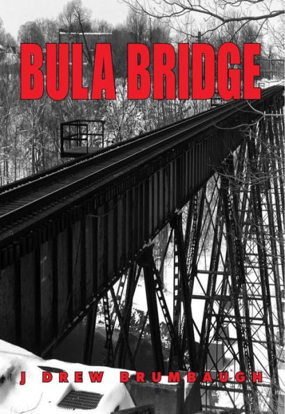 Bula Bridge (Galiwee Visions, #2)
