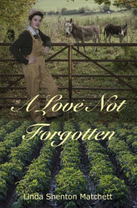 Title: A Love Not Forgotten, Author: Linda Shenton Matchett