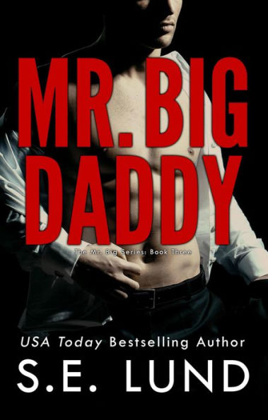 Mr. Big Daddy (The Mr. Big Series, #3)