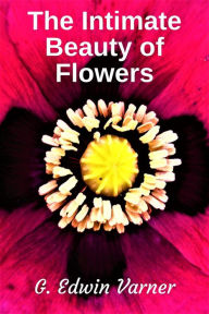 Title: The Intimate Beauty of Flowers, Author: G. Edwin Varner