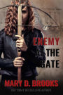 Enemy At The Gate (Women of the Resistance, #1)