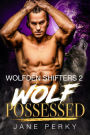 Wolf Possessed (Wolfden Shifters, #2)