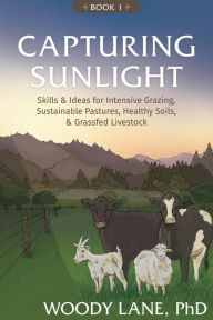 Title: Capturing Sunlight, Book 1, Author: Woody Lane