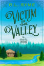 Victim in the Valley (The Vangie Vale Mysteries, #4)