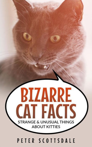 Bizarre Cat Facts: Strange & Unusual Things About Kitties (Our Bizarre Cats Series, #1)