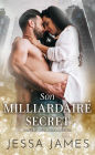 Son milliardaire secret (Mauvais Mecs Milliardaires, #3)