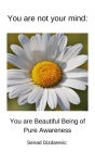 You Are Not Your Mind: You Are Beautiful Being Of Pure Awareness