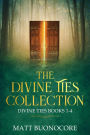 The Divine Ties Collection