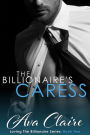 The Billionaire's Caress (Loving The Billionaire, #2)