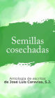 Semillas Cosechadas