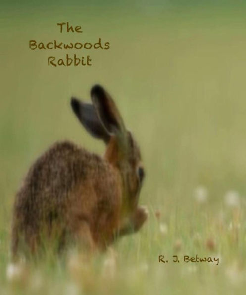 The Backwoods Rabbit