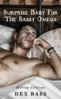 Surprise Baby for the Sassy Omega (Mpreg College, #3)