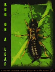 Title: Bug on a Leaf, Author: Mike Bozart