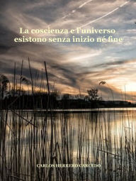 Title: La Coscienza E L'Universo Esistono Senza Inizio Né Fine, Author: Carlos Herrero Carcedo