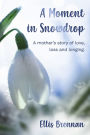 A Moment in Snowdrop
