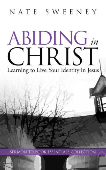 Abiding in Christ (The Abiding Series)