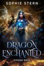 Hidden Mage (Dragon Enchanted, #1)