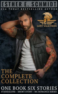 Title: Lost Valkyries MC, Author: Esther E. Schmidt