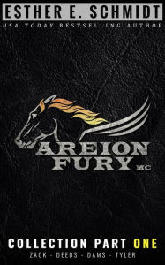 Title: Areion Fury MC Collection Part One, Author: Esther E. Schmidt
