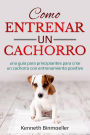 Como entrenar un cachorro