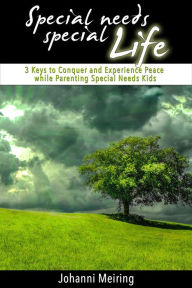 Title: Special Needs Special Life: 3 Keys to Conquer and Experience Peace while Parenting Special Needs Kids, Author: Johanni Meiring