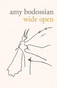 Title: Wide Open, Author: Amy Bodossian