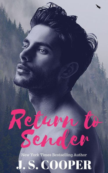 Return To Sender (The Hart Duet, #2)