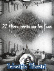 Title: 22 Micro-récits sur les Fous, Author: Sebastian Silvestri