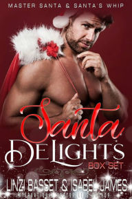 Title: Santa Delights, Author: Linzi Basset
