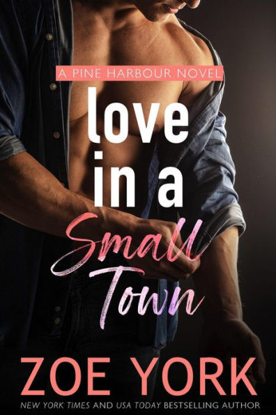 Love in a Small Town (Pine Harbour, #1)