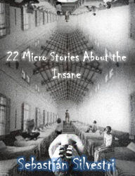 Title: 22 Micro Stories About the Insane, Author: Sebastian Silvestri