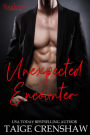 Unexpected Encounter (Singleton, #5)