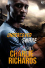 Undercover Snake (Shifter's Regime, #5)