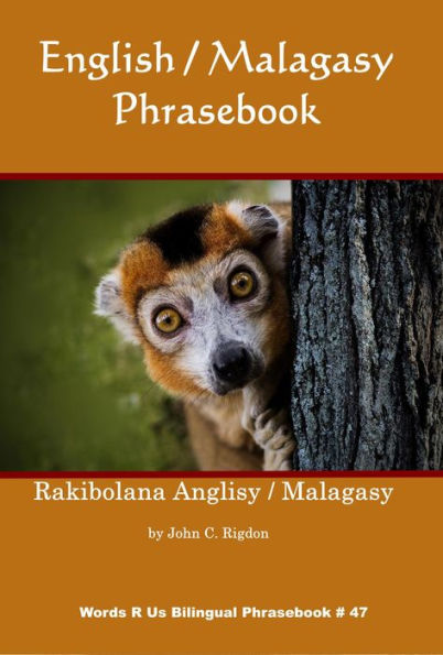 English / Malagasy Phrasebook (Words R Us Bilingual Phrasebooks, #47)