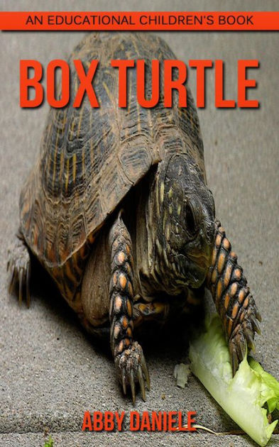 Box Turtle! An Educational Children's Book by Abby Daniele | NOOK Book ...