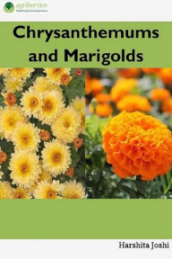 Title: Chrysanthemums and Marigolds, Author: Harshita Joshi